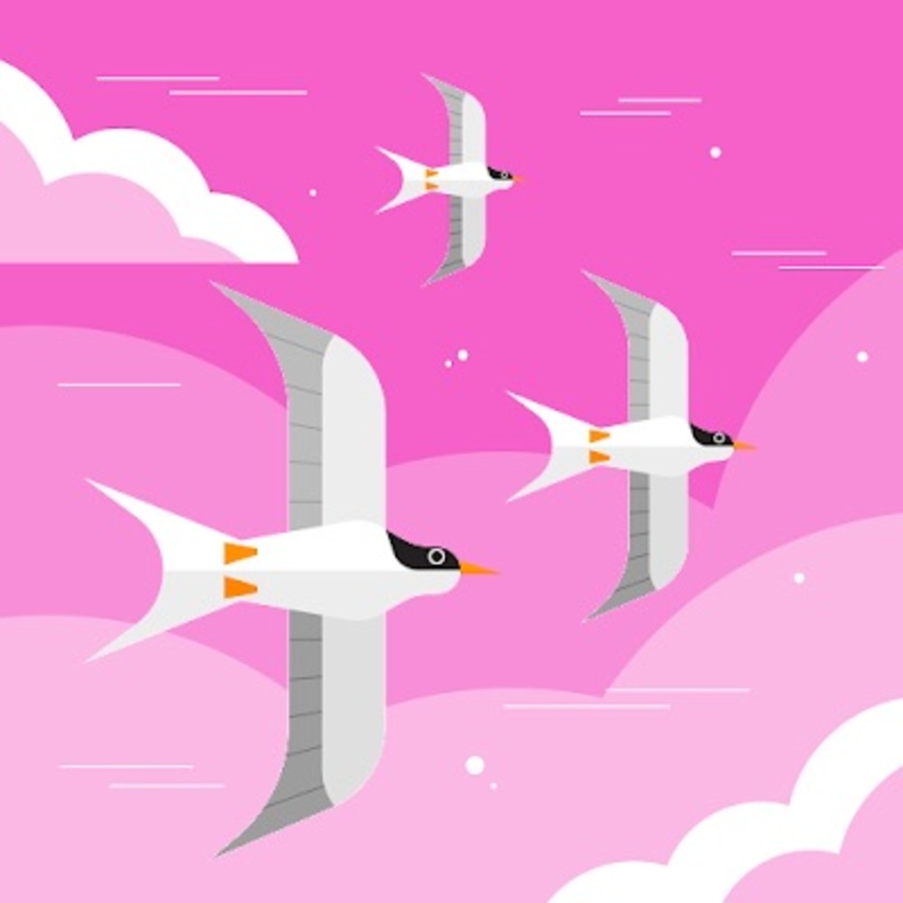 Meet your Posher, Savannah